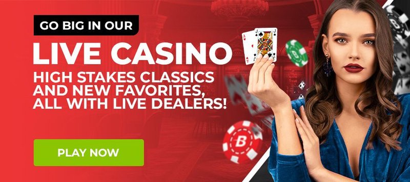 Introduction to casino slotlair